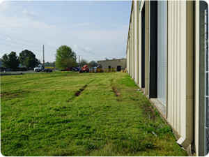 Joplin expansion
